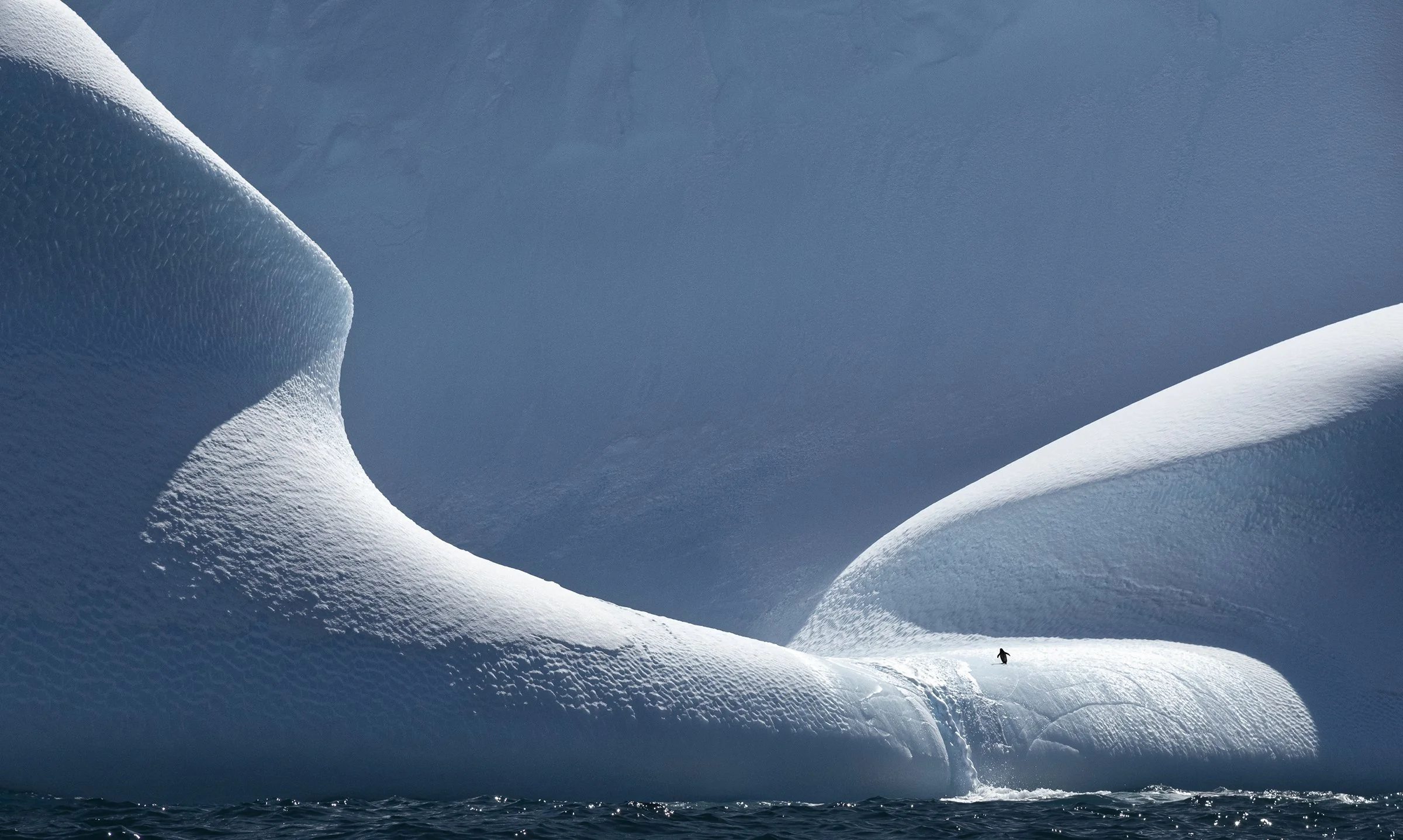 Antarctica Photo Workshop Images — Kevin Pepper Photography